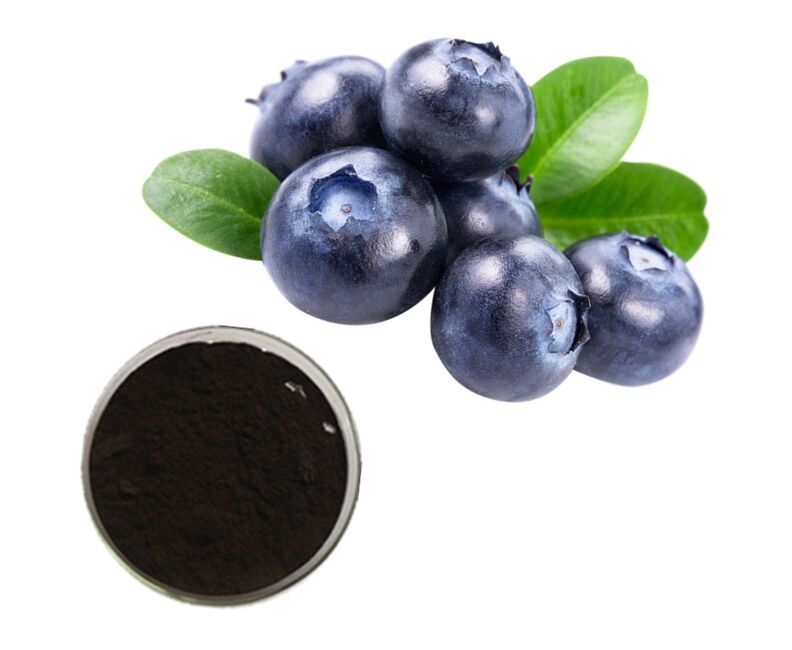 Bilberry extract in Prostamin Forte