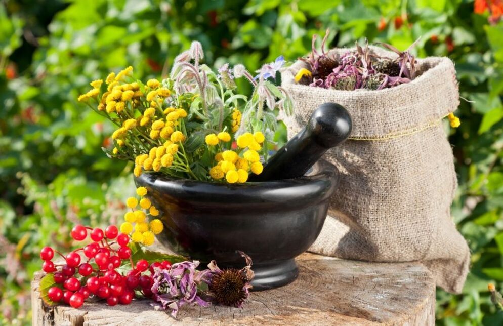 Herbal medicines are used in the treatment of prostatitis